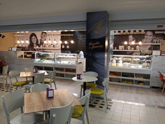 Cascatas e Girassois